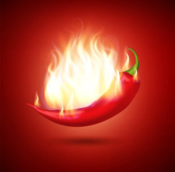 Realistic Detailed 3d Burning Chili Pepper in Fire on a Red Background. Vector — Stock Vector