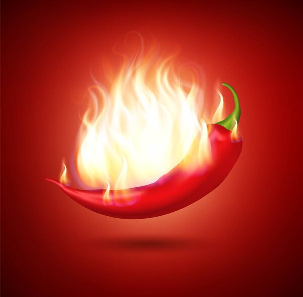 Realistic Detailed 3d Burning Chili Pepper in Fire on a Red Background. Vector