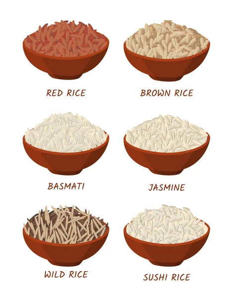 Cartoon Color Différents types de riz dans des bols ensemble. Vecteur — Image vectorielle