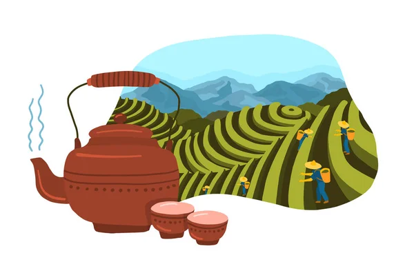 Tecknad färg Tea Plantation Landskap Scene koncept. Vektor — Stock vektor