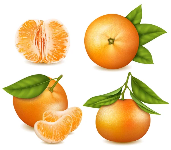 Realistik Detail 3d Fresh Tangerines dengan Green Leaves Set. Vektor - Stok Vektor