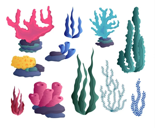Κινούμενα σχέδια Χρώμα Θάλασσα Κάτω Φυτά που. Διάνυσμα — Διανυσματικό Αρχείο
