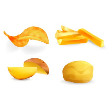 Gerçekçi Detaylı 3D Farklı Görüş Patates Sebze Seti. Vektör