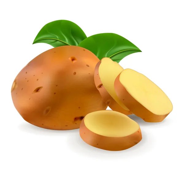 Realista detallado 3d patatas crudas enteras con rodajas conjunto. Vector — Vector de stock