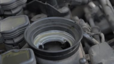 Makineye yeni temiz sentetik yağ dökülüyor. Otomatik yağ değişimi..