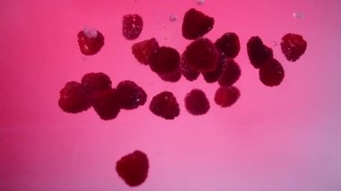 Taze ahududular pembe arka planda suya düşer. Yavaş çekim