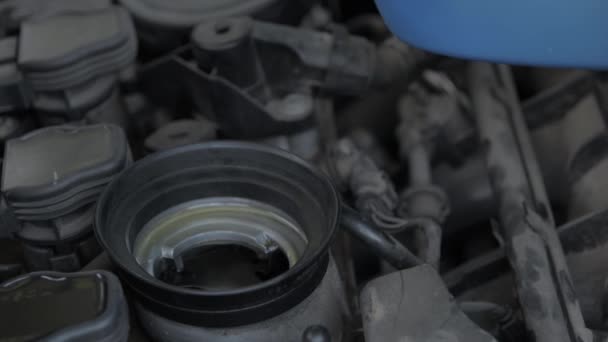エンジンに新しいきれいな合成オイルを入れる 自動車のオイル交換 — ストック動画