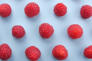 Mavi arka planda ahududu deseni. Düz yaz meyveleri - kırmızı ahududular. Yaratıcı minimalizm