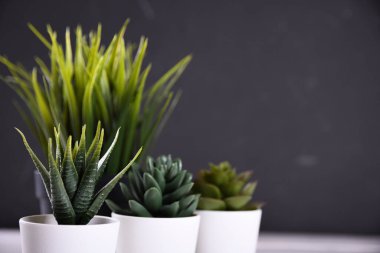 Yapay çiçekler, ahşap arka plandaki bir tencerede farklı şekillerde çimenler. Kopya alanı ve metin ile kapatın..