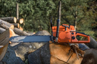 Bahçedeki yakacak odun yığınının üzerinde duran elektrikli testere. Arka planda yakacak odunlar ve testere ile kesilmiş ağaçlar..