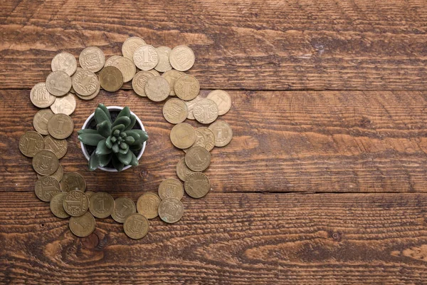 Money savings, investment, making money for future, financial wealth management concept. Money tree on a wooden background with gold coins around