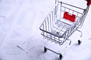 Dükkanlardan ve alışveriş arabalarından çekler. Kapat.