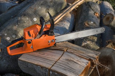 Bahçedeki yakacak odun yığınının üzerinde duran elektrikli testere. Arka planda yakacak odunlar ve testere ile kesilmiş ağaçlar..