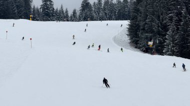 Avusturya - 25 Şubat 2025: Kayakçılar Avusturya 'nın Salzburg yakınlarındaki Russbach Geçidi' nde uzun ağaçlar ve kış manzaralarıyla çevrili karlı bir arazide kış sporlarının tadını çıkarıyorlar.