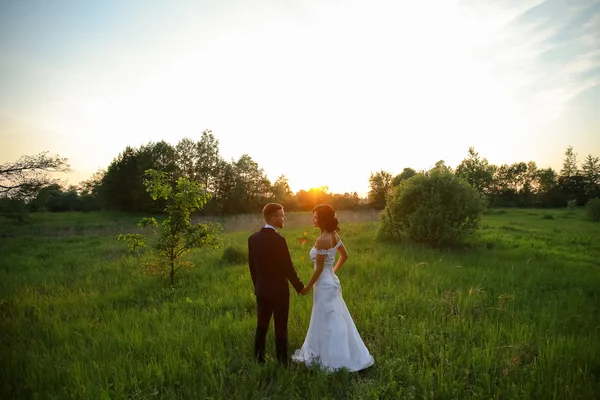 Élégant belle mariée heureuse et marié au coucher du soleil — Photo