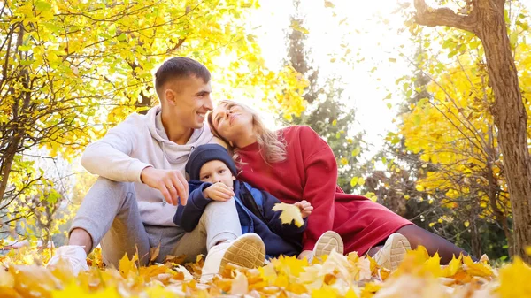 Семья отца матери и сына сидят на опавших листьях на фоне желтых деревьев — стоковое фото