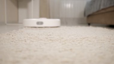 Beyaz robot elektrikli süpürge uzun halı temizliyor.