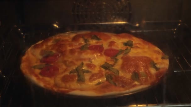 Смачна домашня піца з сиром, кетчупом та зеленню — стокове відео