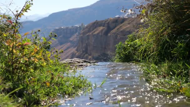 Enger Gebirgsfluss mit grünen Pflanzen am Ufer im Tal — Stockvideo