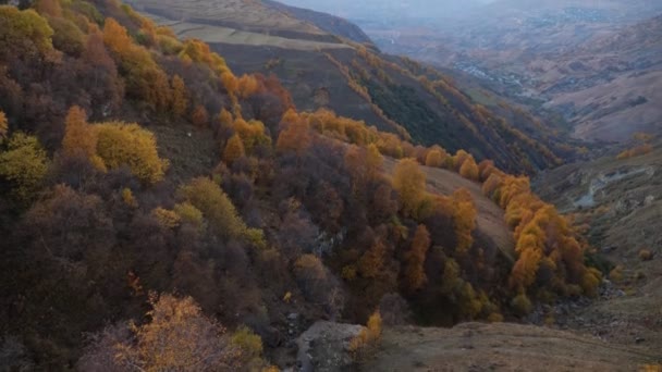 Gyllene höst i bergen vid solnedgången — Stockvideo