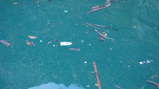 Basura diversa en la superficie del agua azul — Vídeos de Stock