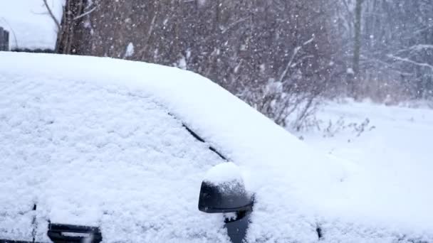 Snö-täckt svart bil under snön på bakgrunden av träd — Stockvideo