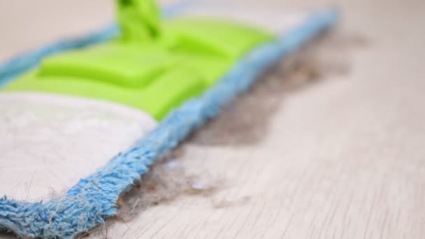 Trapeador suave y trozos de polvo y cabello en el suelo de madera en la habitación — Vídeos de Stock