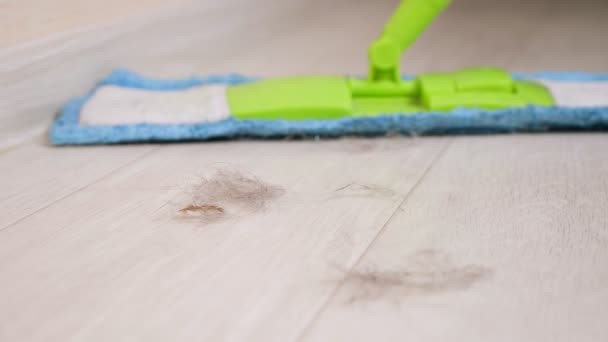 Limpeza chão de madeira do cabelo com esfregão macio na sala de luz — Vídeo de Stock