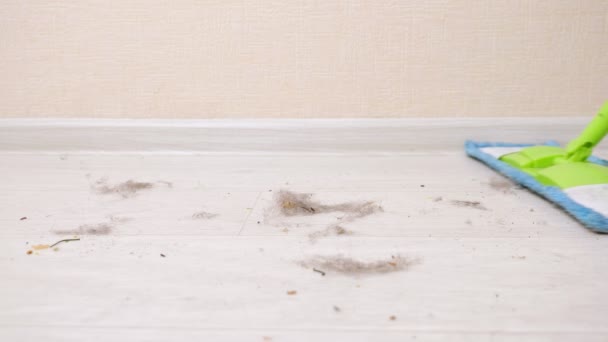 Limpeza chão de madeira do cabelo com esfregão macio na sala de luz — Vídeo de Stock
