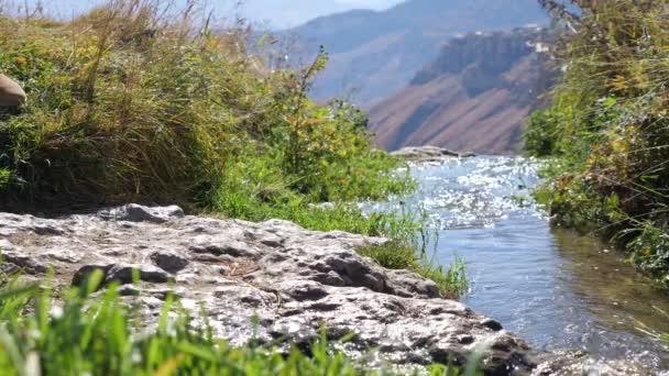 Touristische Spaziergänge am Ufer des Gebirgsflusses an sonnigen Tagen — Stockvideo