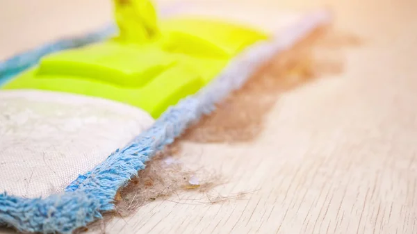 Trapeador suave y trozos de polvo y cabello en el suelo de madera en la habitación — Foto de Stock