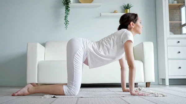 Pregnant lady does marjaryasana on floor near sofa at home — Stock Photo, Image