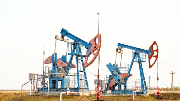 Oil rockers on the background of the sky in the field — Stock Photo, Image