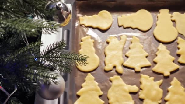 Крупним планом печиво на випічці поруч з ялиною — стокове відео