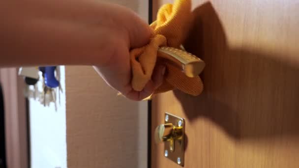 Ibu rumah tangga membersihkan kenop logam emas di pintu kayu dengan kain — Stok Video