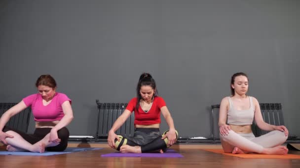 Professionnels pratiquants de yoga femme assis dans des poses de lotus — Video