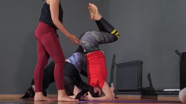 Yoga hocası bir grup dersinde Shirshasana yaparken bir kadının dengesini bulmasına yardım eder. — Stok video