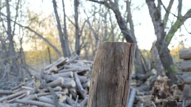 Homme méconnaissable coupant du bois avec une hache, au ralenti — Video