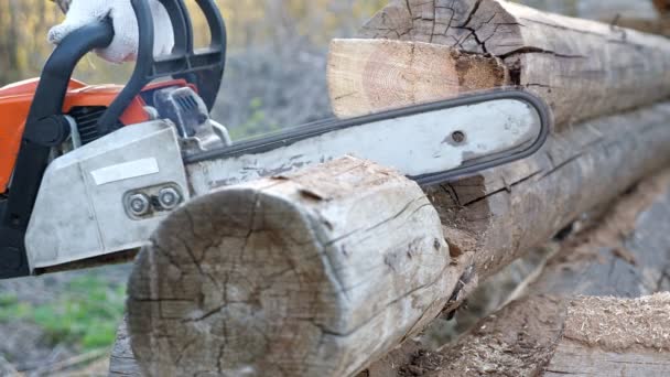 Homme méconnaissable sciant un blockhaus en bois avec une tronçonneuse — Video