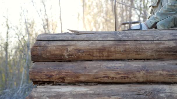 Onherkenbare man snijdt een rotte houten blokhut met een kettingzaag, zonlicht — Stockvideo