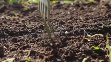 Tanınmayan kadın çiçek tarlasını küçük tırmıklarla düzleştiriyor.