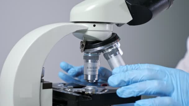 Cientista coloca slide com gota de sangue no microscópio no laboratório — Vídeo de Stock