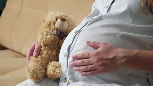 Unrecognizable pregnant woman stroking belly holding a bear toy while sitting on the sofa — Stock Video