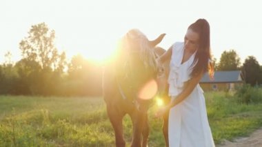 Uzun saçlı, at kuyruklu esmer at kuyruklu.