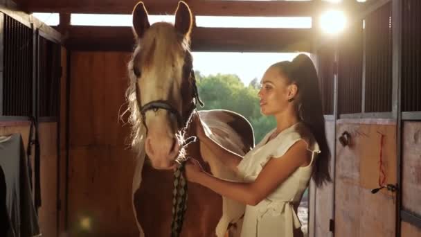 Lady model in lange witte jurk poses door groot paard — Stockvideo