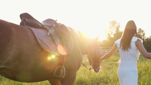 Mujer joven morena en vestido blanco camina caballo marrón — Vídeos de Stock