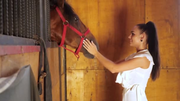 Młoda kobieta o długich włosach brunetka karmi dużego brązowego konia — Wideo stockowe