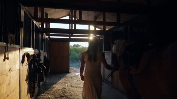 Dame modèle silhouette promenades avec cheval le long de l'écurie à la porte — Video