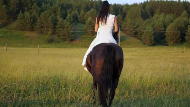 Jovem morena de vestido branco monta cavalo marrom — Vídeo de Stock