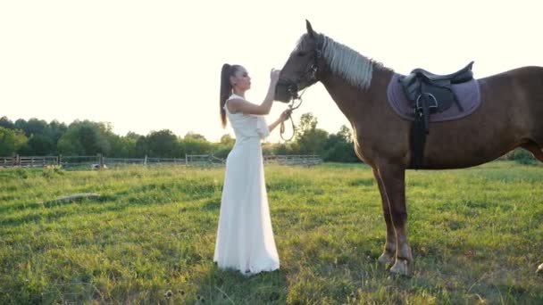 Morena con coleta mascotas caballo marrón melena en el prado — Vídeo de stock